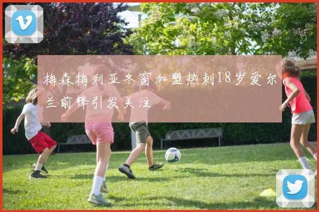 梅森梅利亚冬窗加盟热刺18岁爱尔兰前锋引发关注