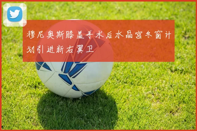 穆尼奥斯膝盖手术后水晶宫冬窗计划引进新右翼卫