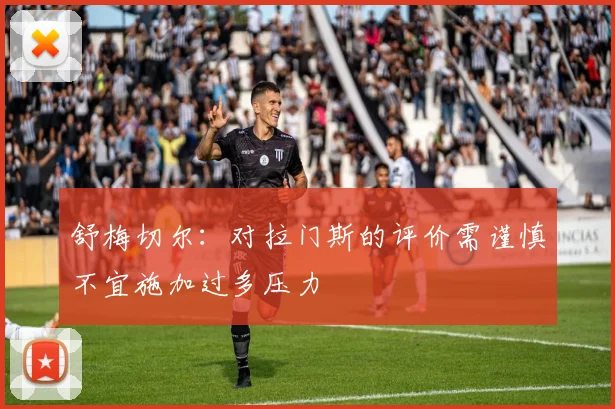 舒梅切尔：对拉门斯的评价需谨慎不宜施加过多压力