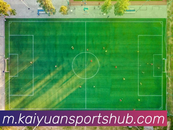 开元体育平台生态图